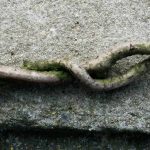 Kundalini en de slangenkracht